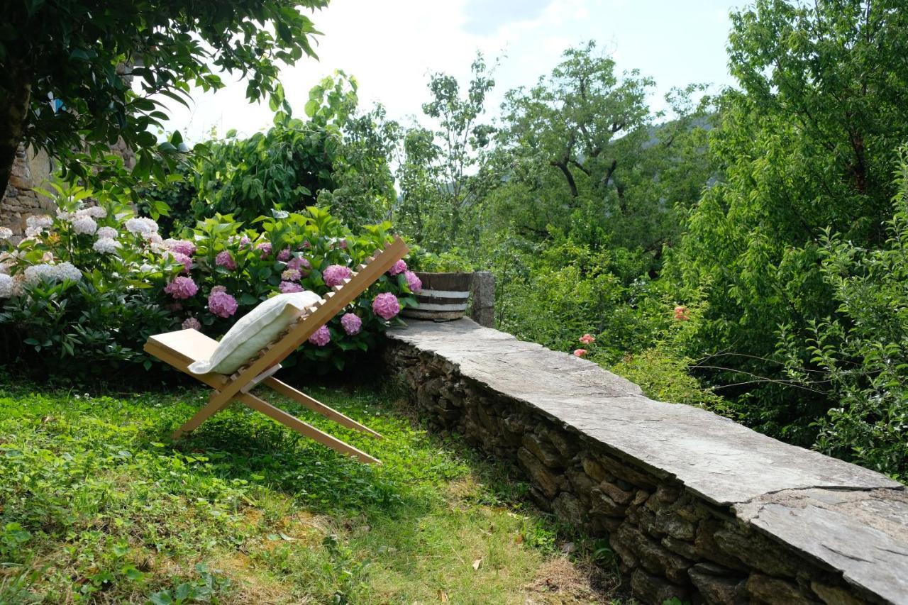 Casa Do Engenho - Canadelo อามารังติ ภายนอก รูปภาพ